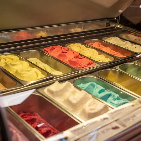 Schwalbennest Willingen (Upland)